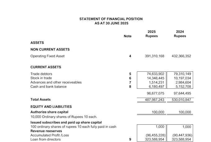 do financial reporting, bookkeeping, projections,finance assignments